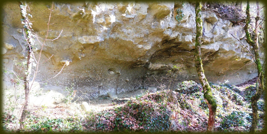Figure 67 abri sous roche